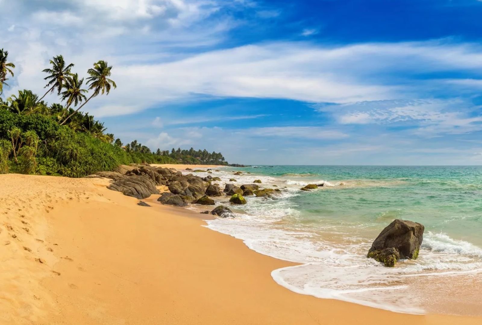 Untitled design (73)